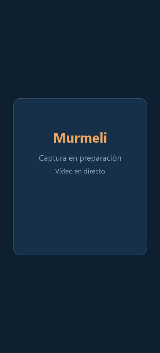 App vigilabebés Murmeli: vídeo en directo de la habitación del bebé en el móvil de los padres